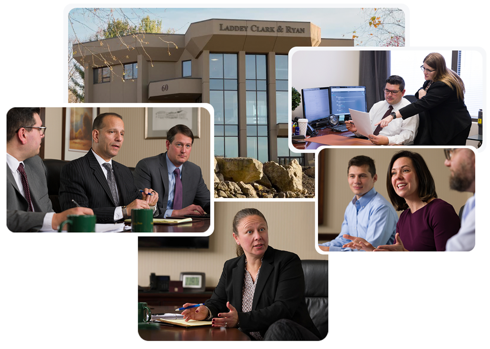 hero collage e1771353472337