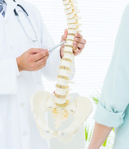 imageye___ _imgi_2_doctor pointing anatomical spine