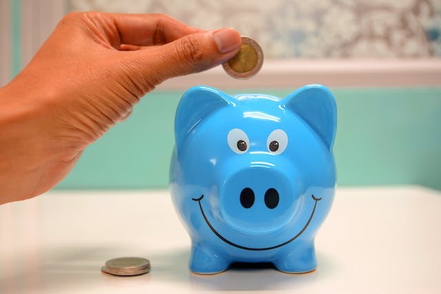 imageye___ _imgi_37_blue piggy bank